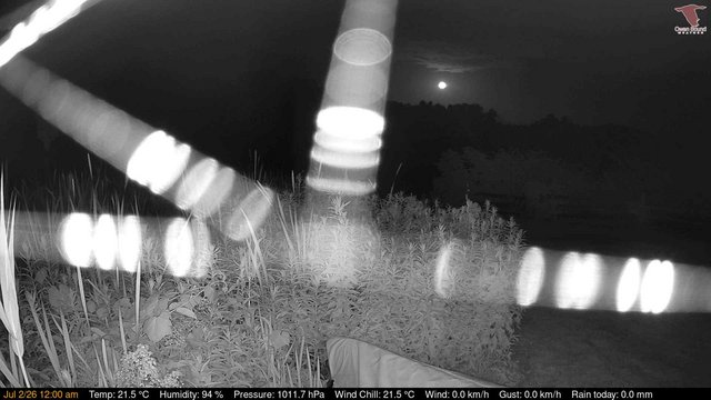time-lapse frame, Deck-Dock Cam webcam