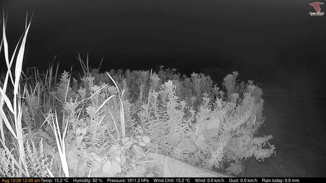 time-lapse frame, Deck-Dock Cam webcam