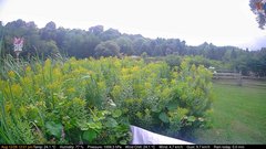 view from Deck-Dock Cam on 2026-08-12