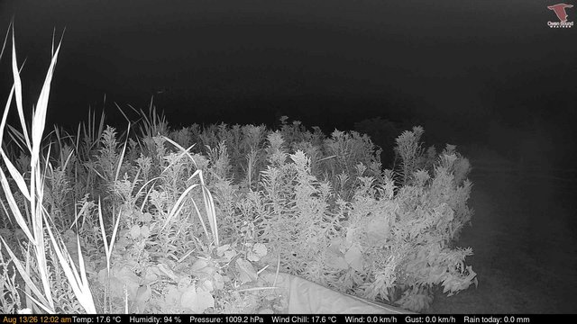 time-lapse frame, Deck-Dock Cam webcam