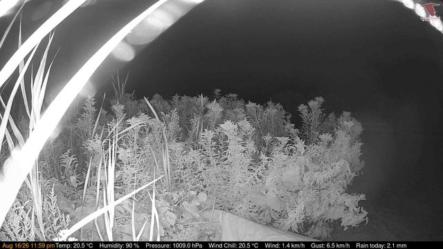 time-lapse frame, Deck-Dock Cam webcam