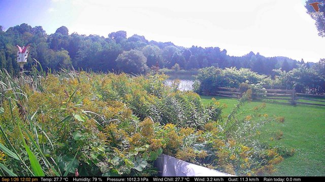 view from Deck-Dock Cam on 2026-09-01