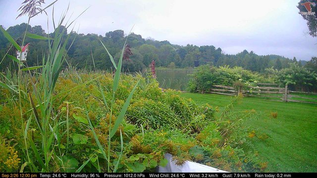 view from Deck-Dock Cam on 2026-09-02