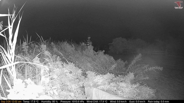 time-lapse frame, Deck-Dock Cam webcam