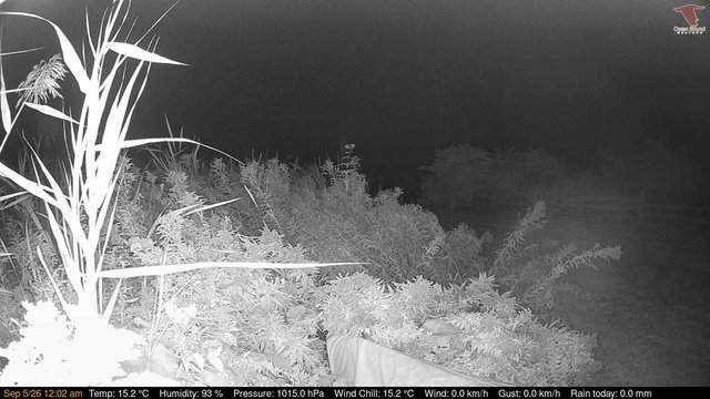 time-lapse frame, Deck-Dock Cam webcam