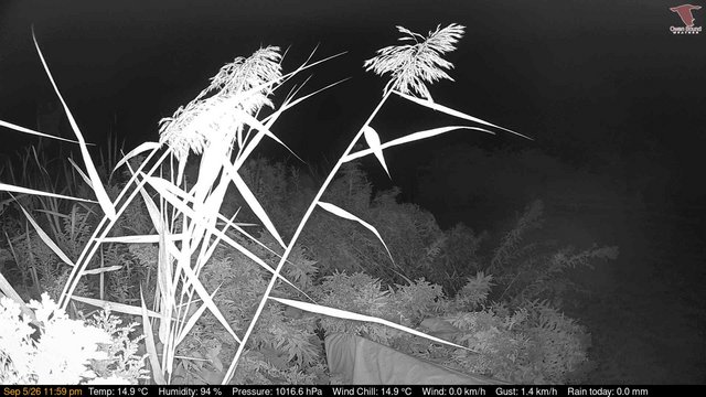 time-lapse frame, Deck-Dock Cam webcam
