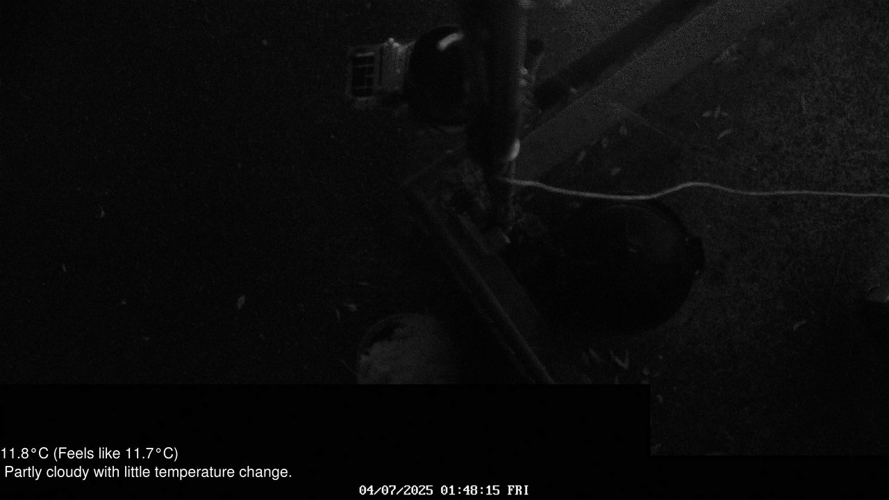 time-lapse frame, Wembury, Devon. Knighton Hill Cam webcam