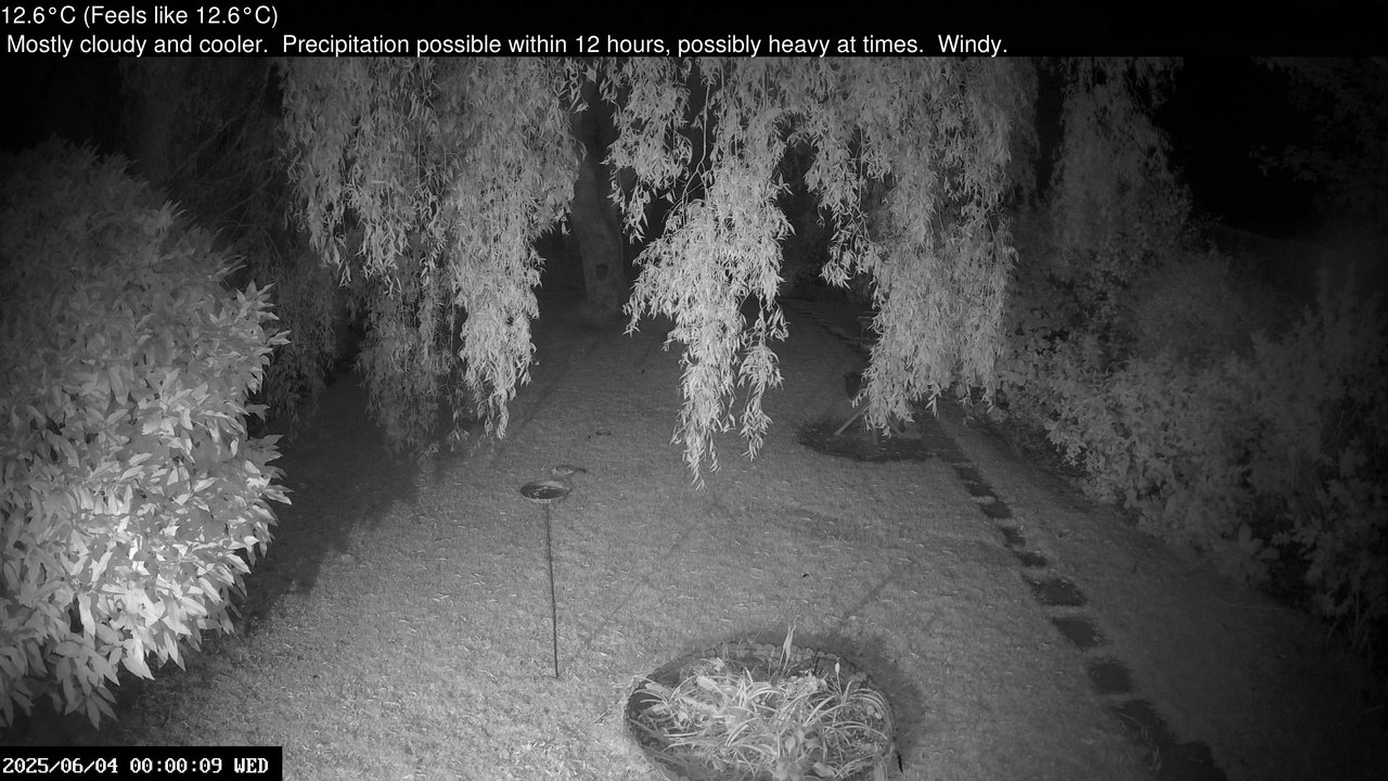 time-lapse frame, Wembury, Devon. Garden Cam webcam