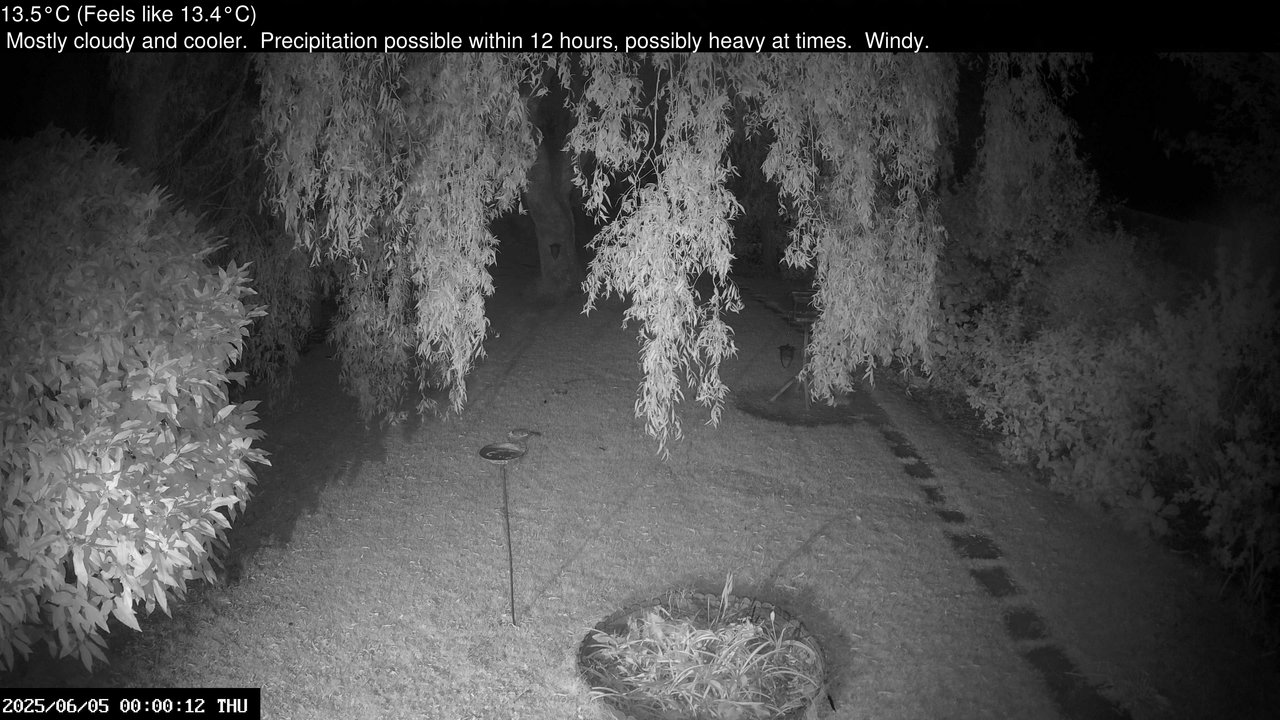 time-lapse frame, Wembury, Devon. Garden Cam webcam