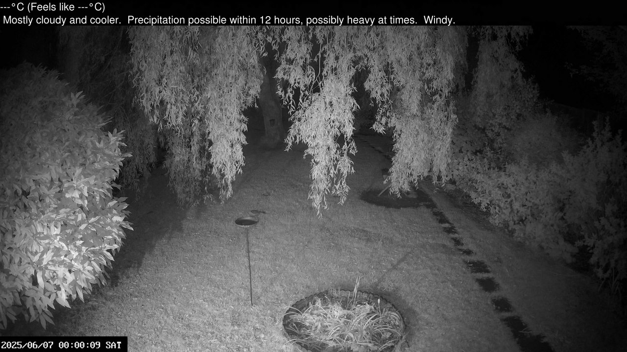 time-lapse frame, Wembury, Devon. Garden Cam webcam
