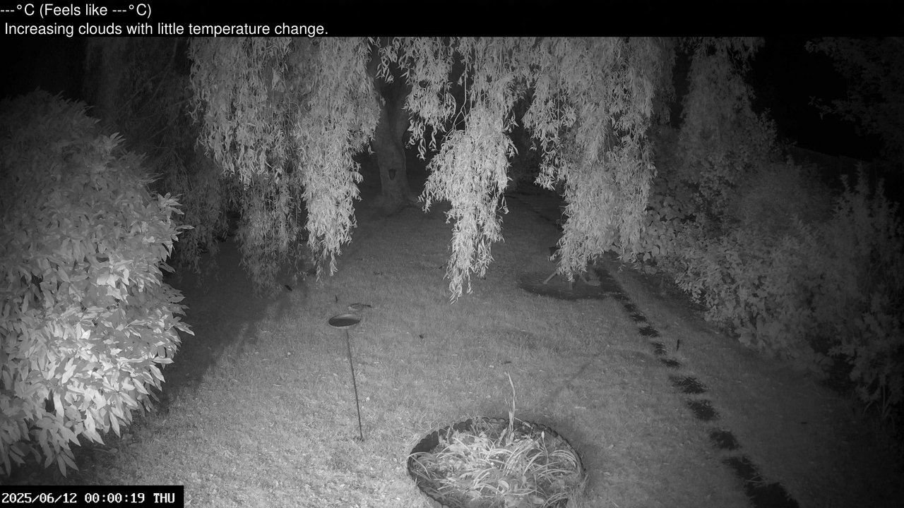 time-lapse frame, Wembury, Devon. Garden Cam webcam