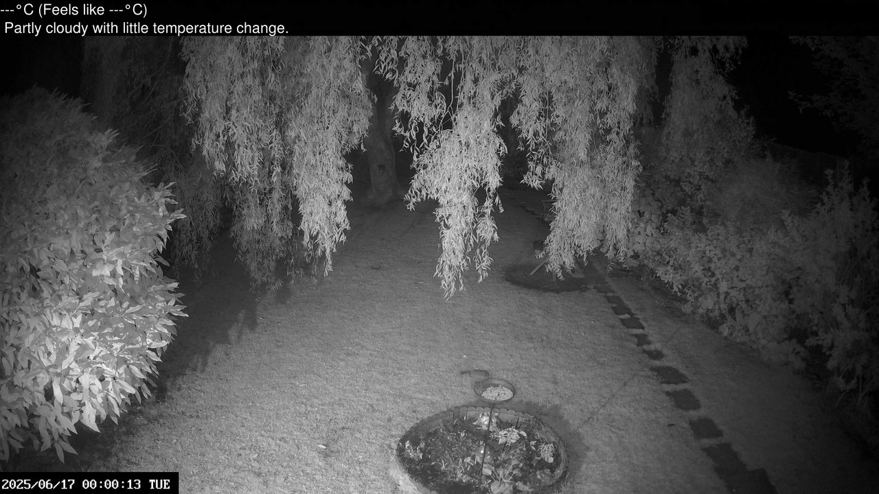 time-lapse frame, Wembury, Devon. Garden Cam webcam