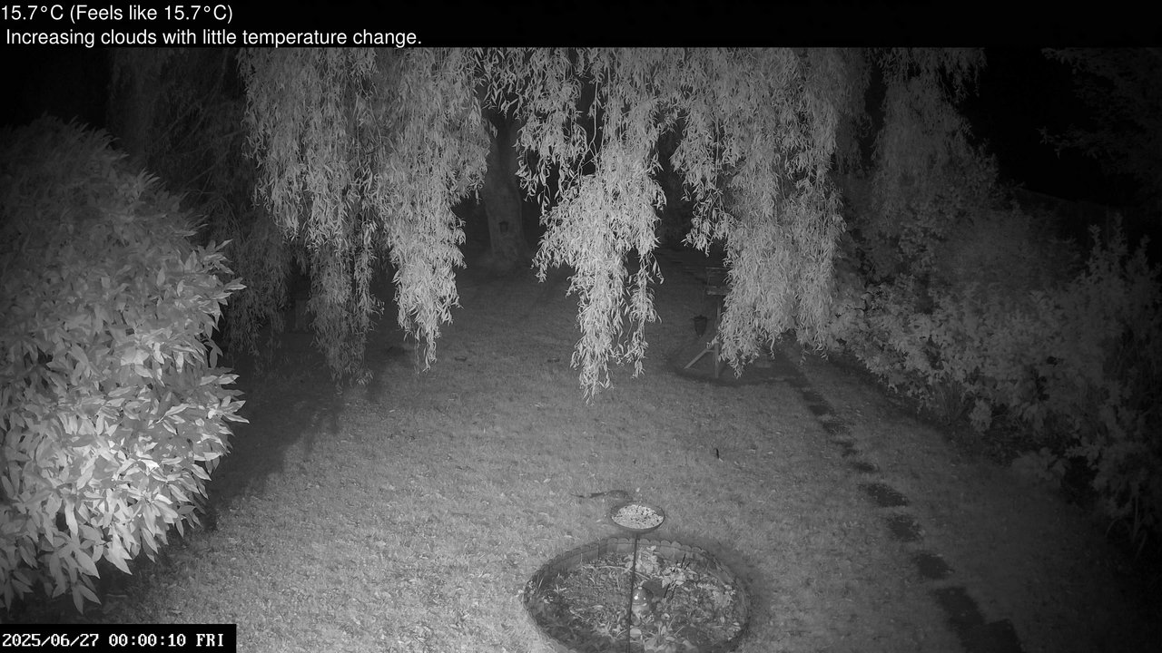 time-lapse frame, Wembury, Devon. Garden Cam webcam