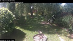 view from Wembury, Devon. Garden Cam on 2025-07-02