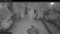 view from Wembury, Devon. Garden Cam on 2025-07-06