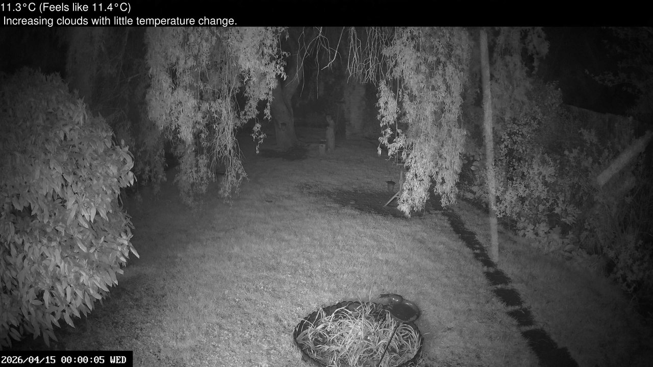 time-lapse frame, Wembury, Devon. Garden Cam webcam