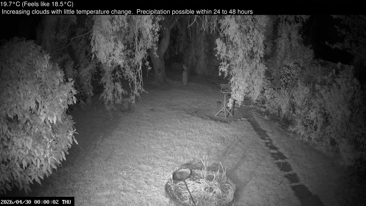 time-lapse frame, Wembury, Devon. Garden Cam webcam