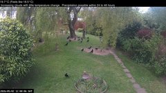 view from Wembury, Devon. Garden Cam on 2026-05-02