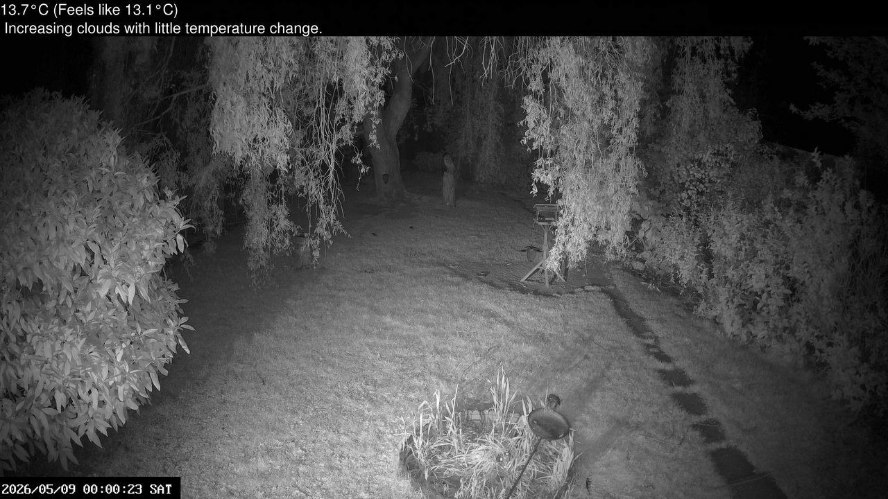 time-lapse frame, Wembury, Devon. Garden Cam webcam