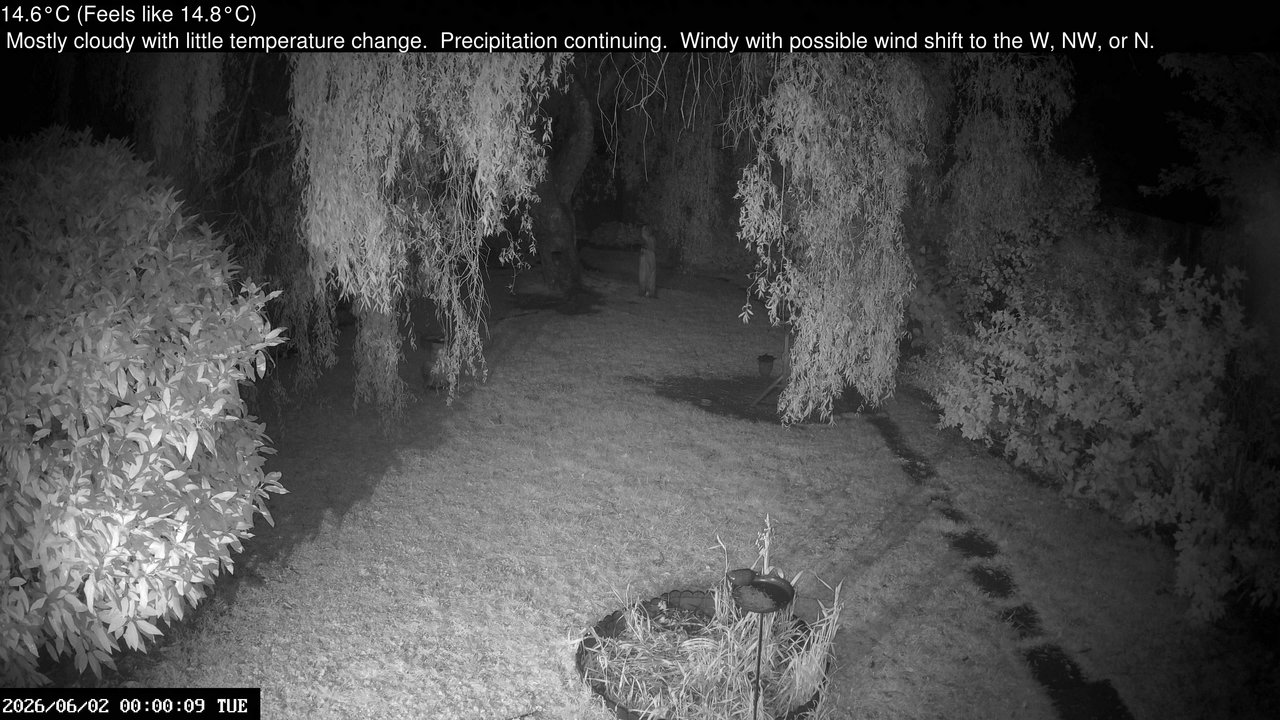time-lapse frame, Wembury, Devon. Garden Cam webcam