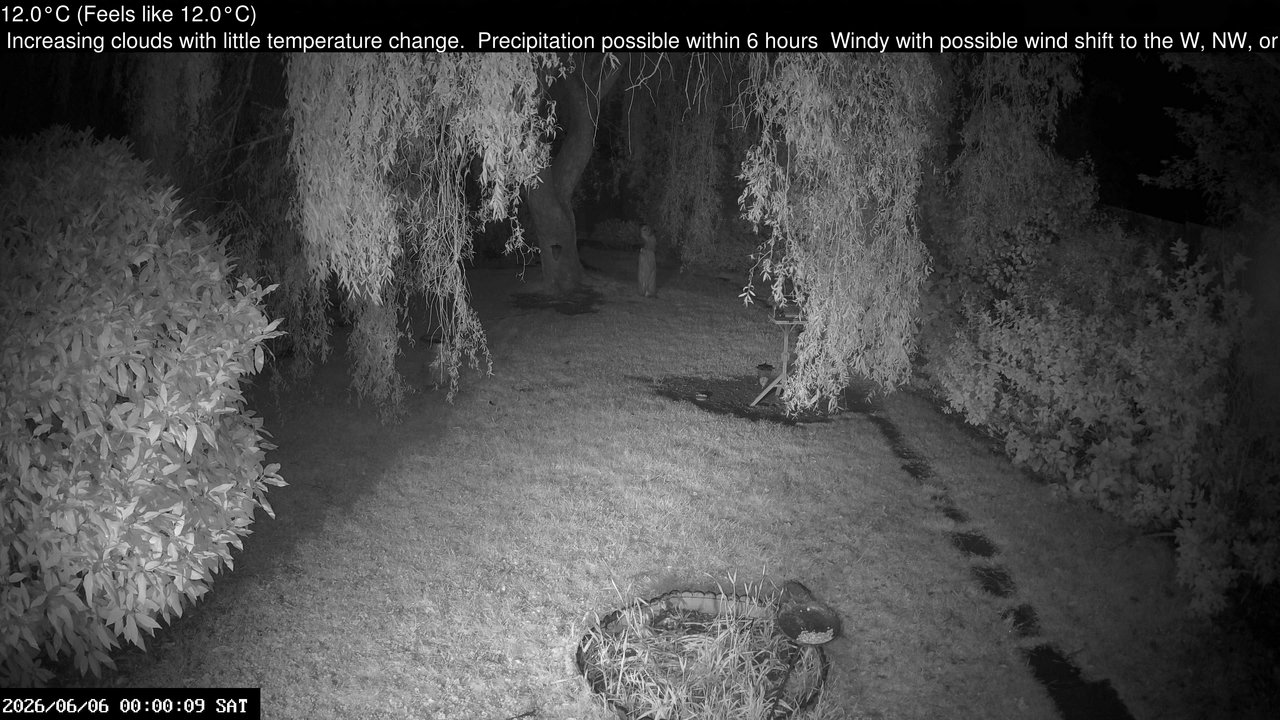 time-lapse frame, Wembury, Devon. Garden Cam webcam