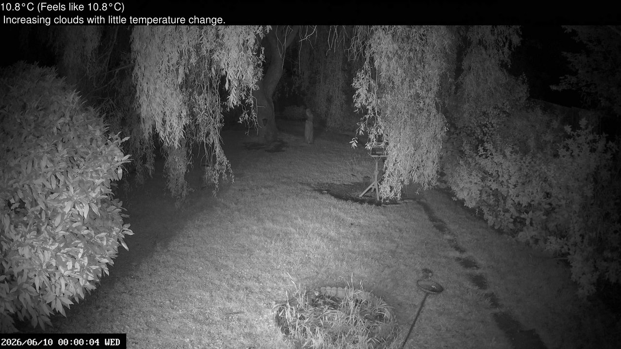 time-lapse frame, Wembury, Devon. Garden Cam webcam