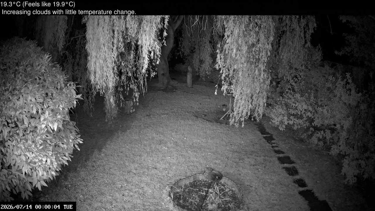 time-lapse frame, Wembury, Devon. Garden Cam webcam