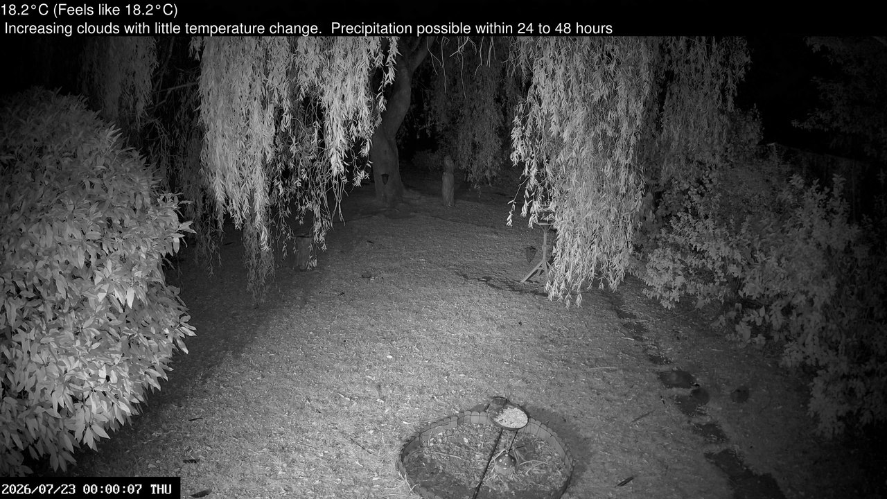 time-lapse frame, Wembury, Devon. Garden Cam webcam