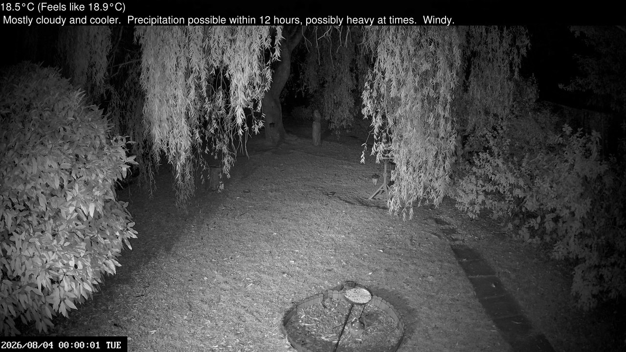 time-lapse frame, Wembury, Devon. Garden Cam webcam