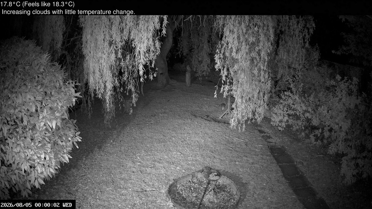time-lapse frame, Wembury, Devon. Garden Cam webcam