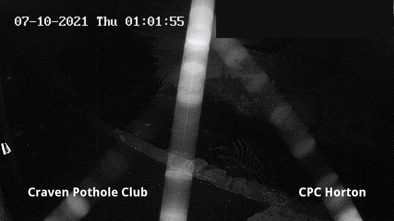 time-lapse frame, HortonBrantsGillCam webcam