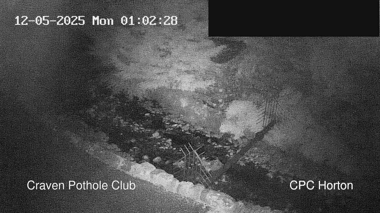 time-lapse frame, HortonBrantsGillCam webcam