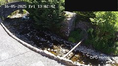 view from HortonBrantsGillCam on 2025-05-16