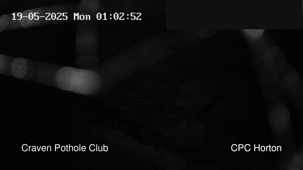 time-lapse frame, HortonBrantsGillCam webcam