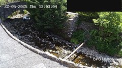 view from HortonBrantsGillCam on 2025-05-22