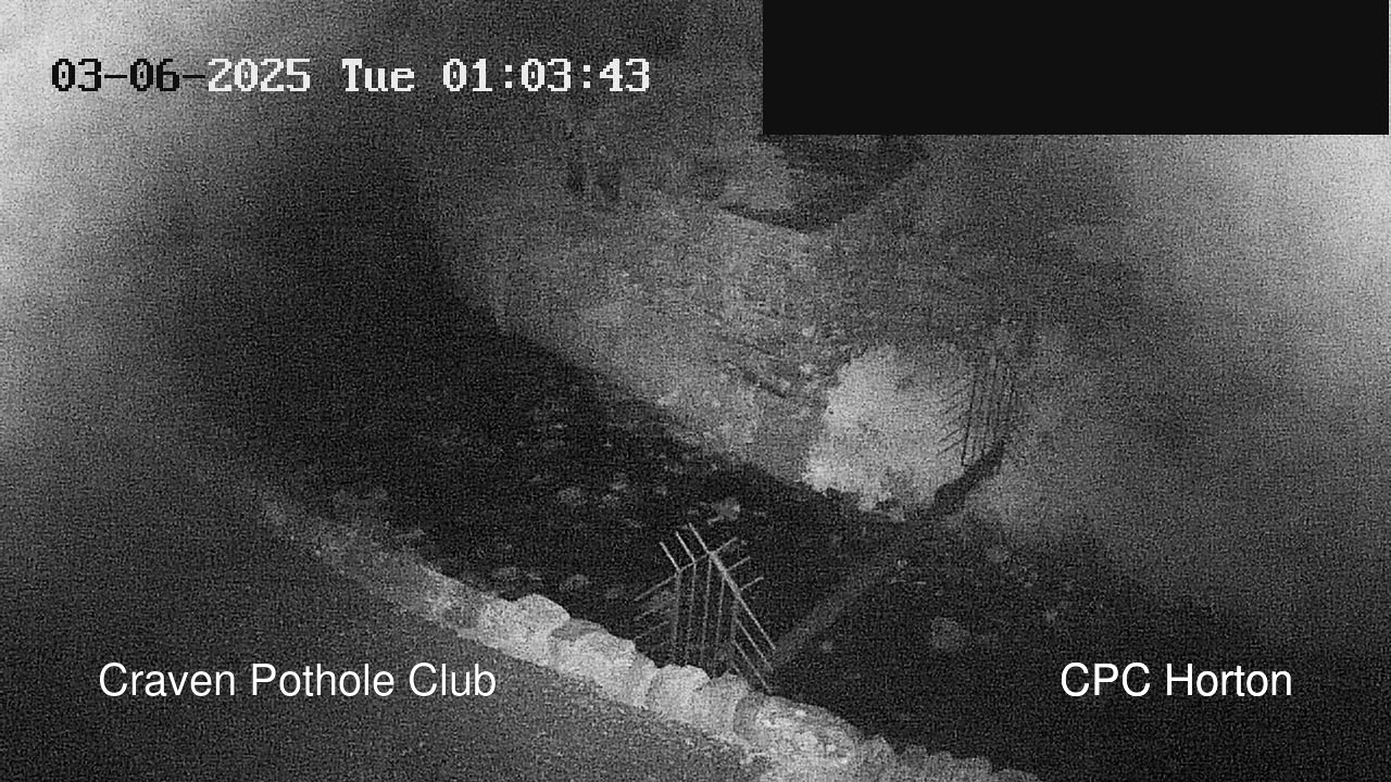 time-lapse frame, HortonBrantsGillCam webcam