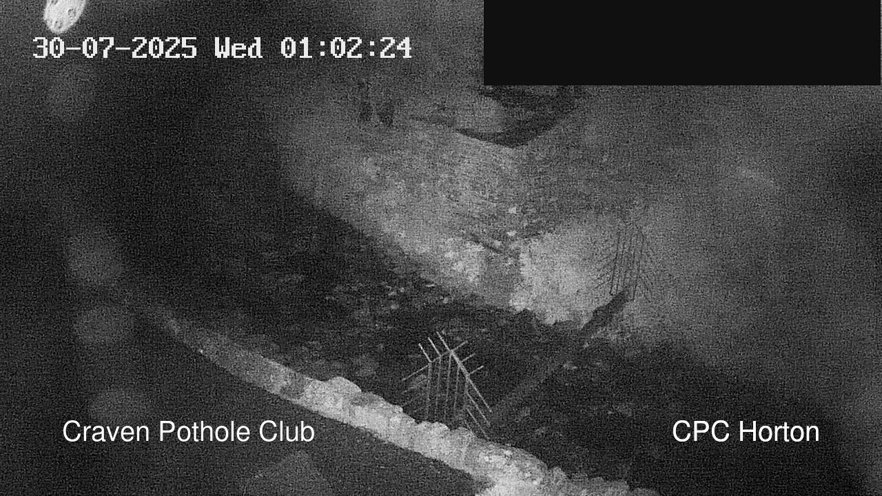 time-lapse frame, HortonBrantsGillCam webcam