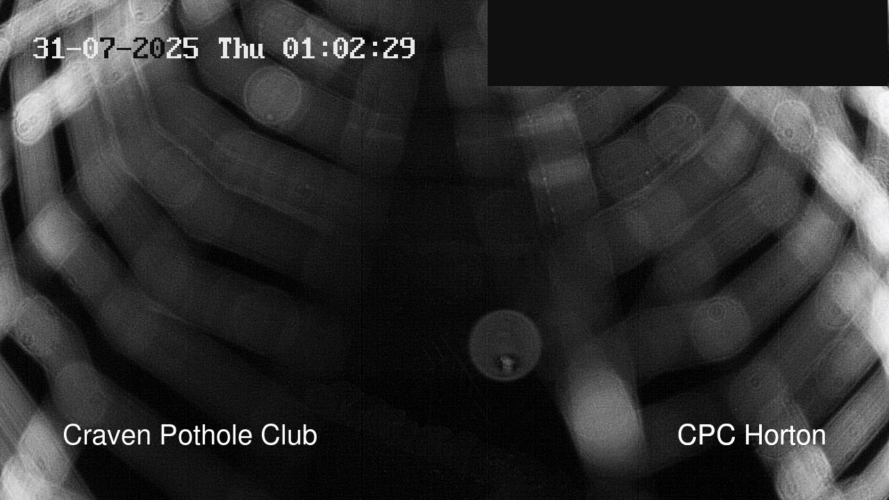 time-lapse frame, HortonBrantsGillCam webcam