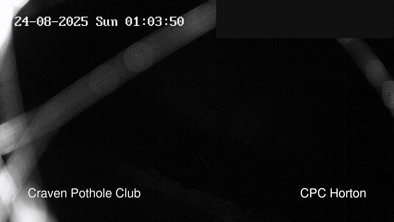time-lapse frame, HortonBrantsGillCam webcam