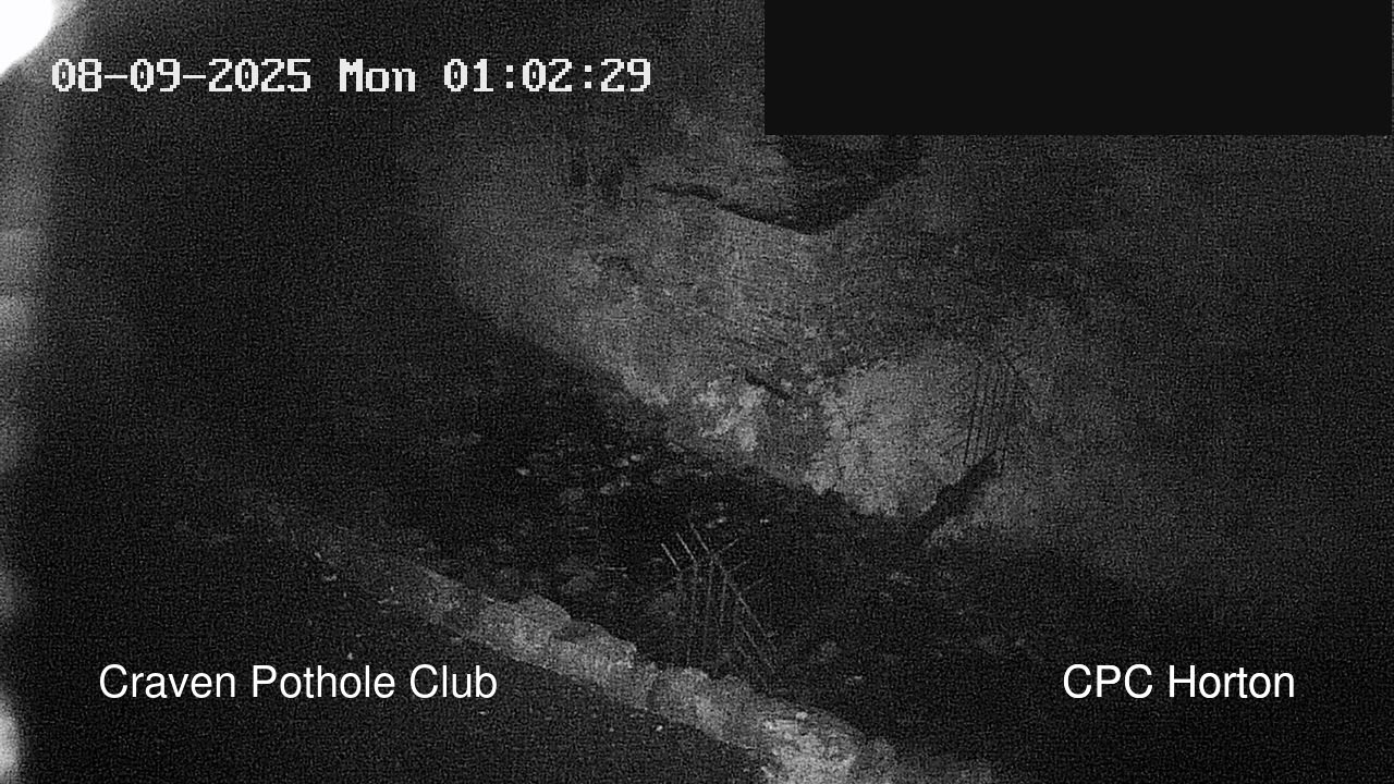 time-lapse frame, HortonBrantsGillCam webcam