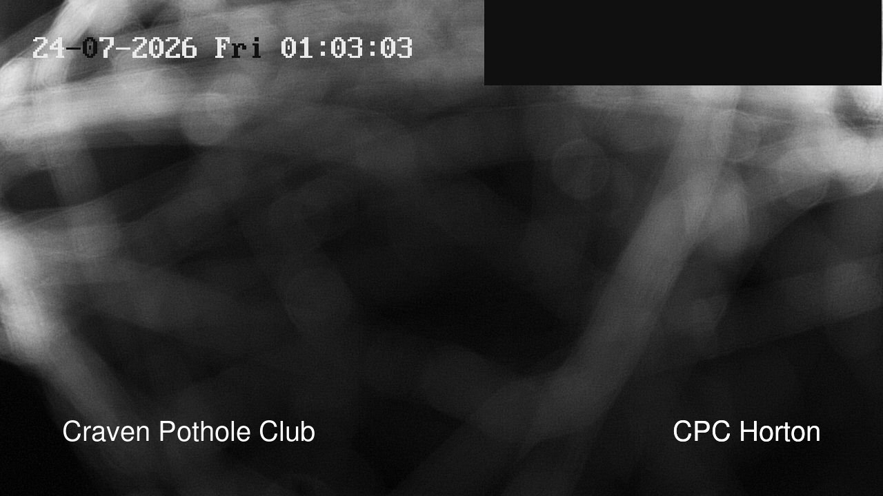 time-lapse frame, HortonBrantsGillCam webcam