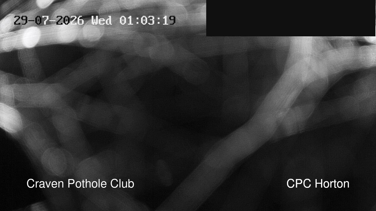 time-lapse frame, HortonBrantsGillCam webcam