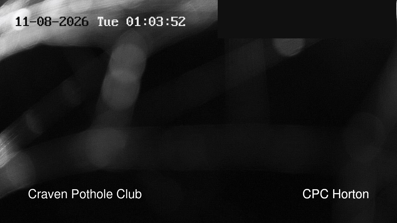time-lapse frame, HortonBrantsGillCam webcam