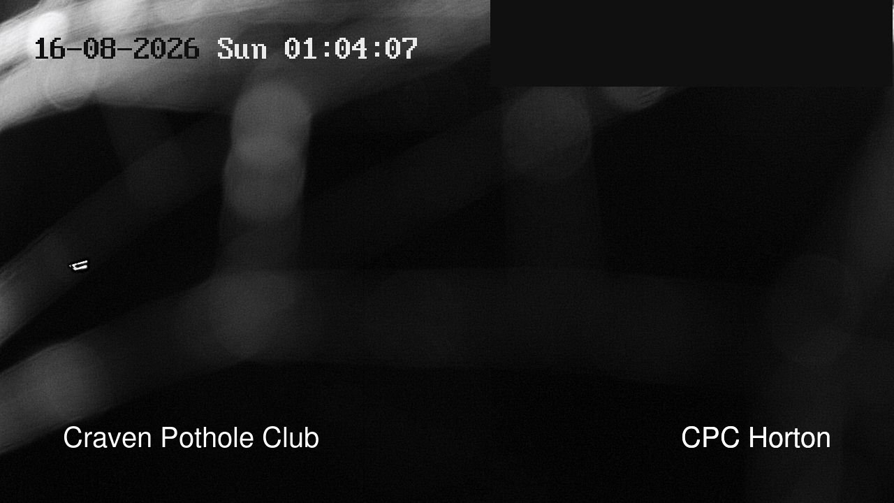 time-lapse frame, HortonBrantsGillCam webcam