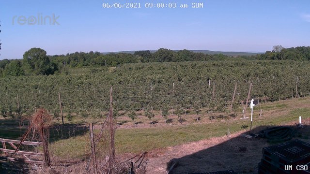 time-lapse frame, UM CSO webcam