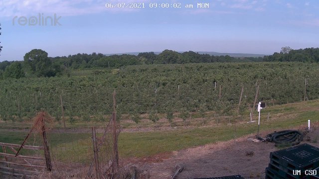 time-lapse frame, UM CSO webcam