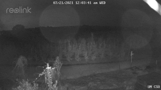 time-lapse frame, UM CSO webcam