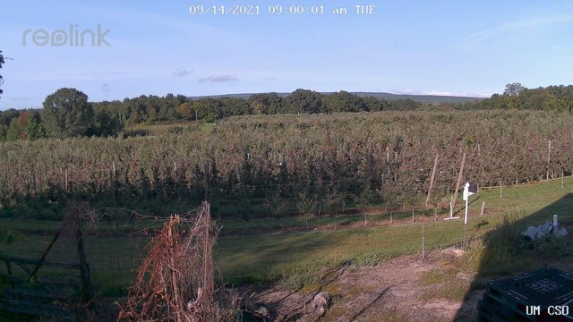 time-lapse frame, UM CSO webcam