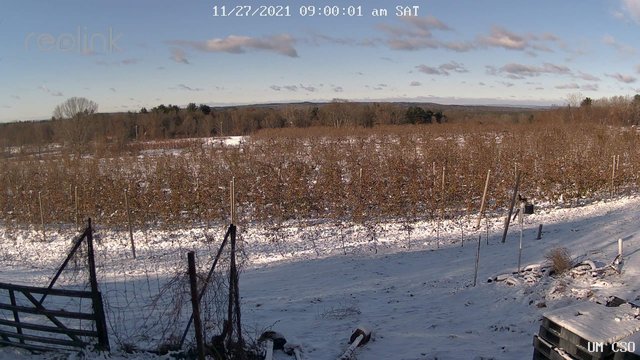 time-lapse frame, UM CSO webcam