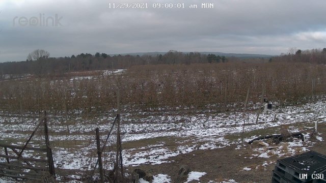 time-lapse frame, UM CSO webcam